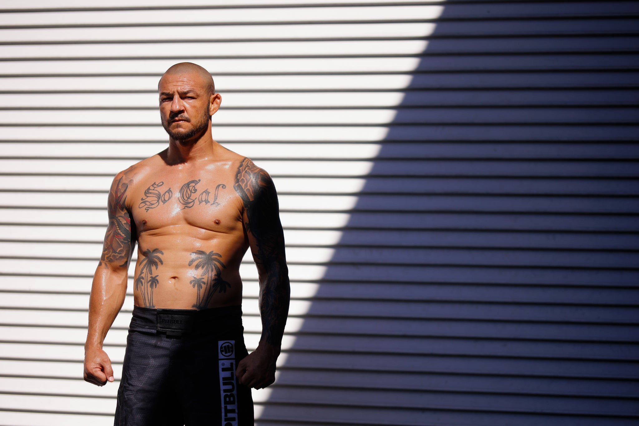 83224e3dff92e58581ea501a3ce7b220.jpg__PID:e9fd1364-58cd-479e-9f0c-2eb38c8ca77d